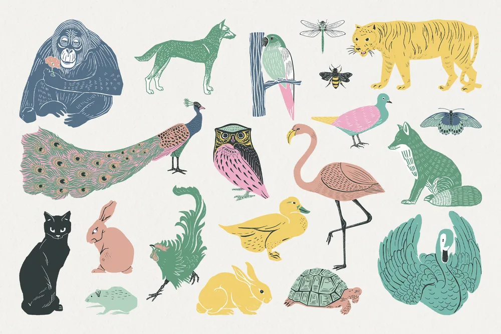 Fauna