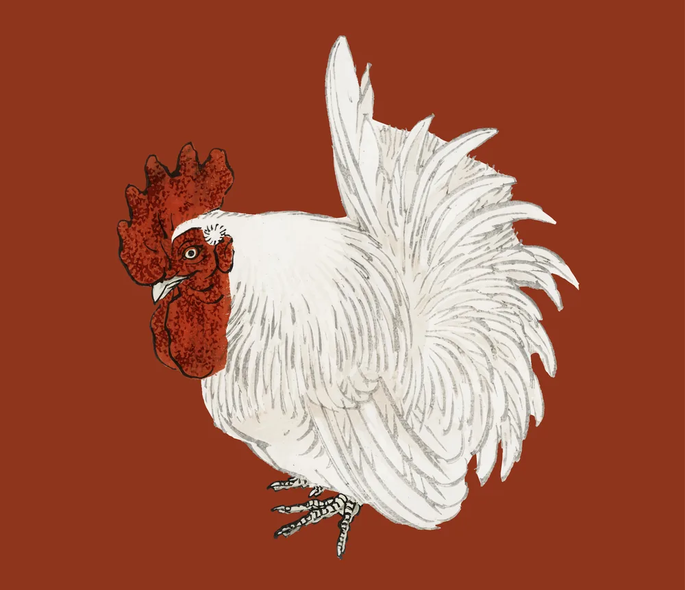 Kikirikí