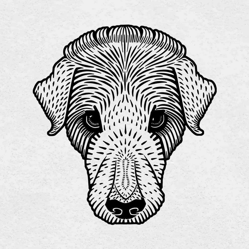 Perro