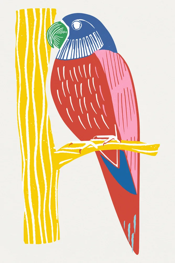 Guacamayo