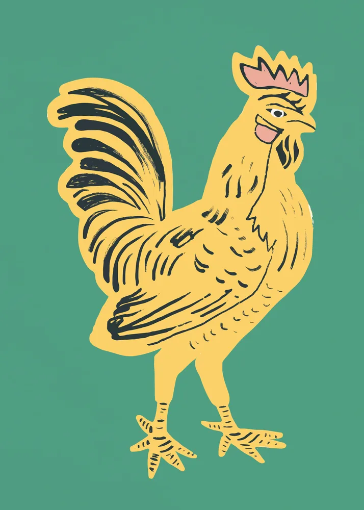 Plumaje