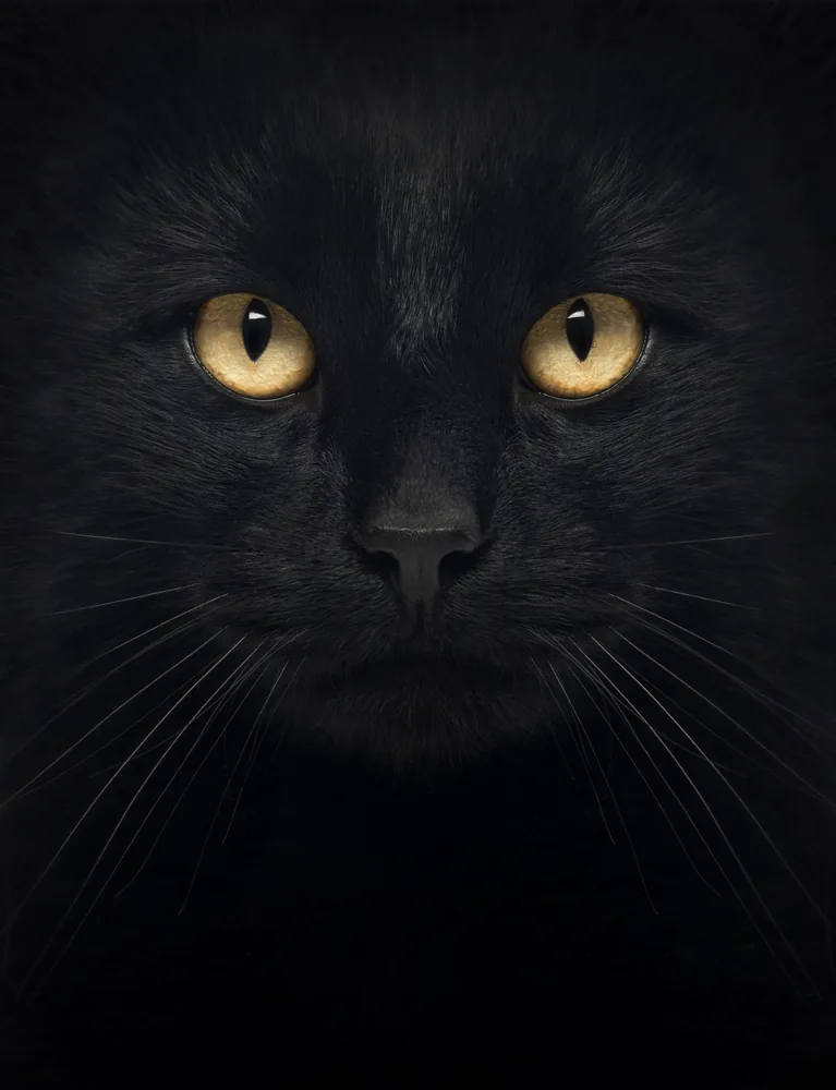 Ojos