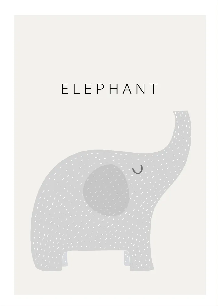 Elefante