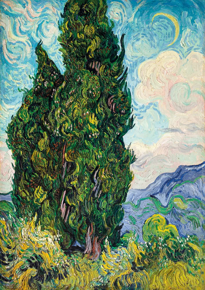 Ciprés