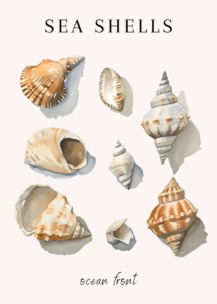 Caracolas
