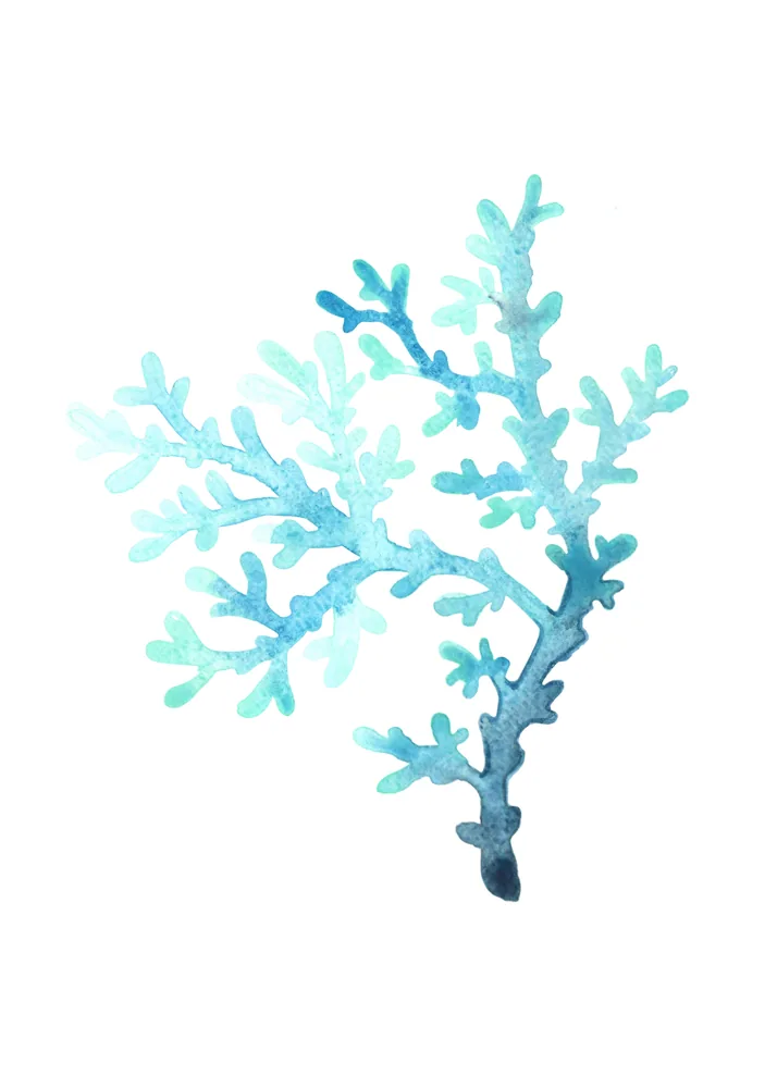Aguamarina