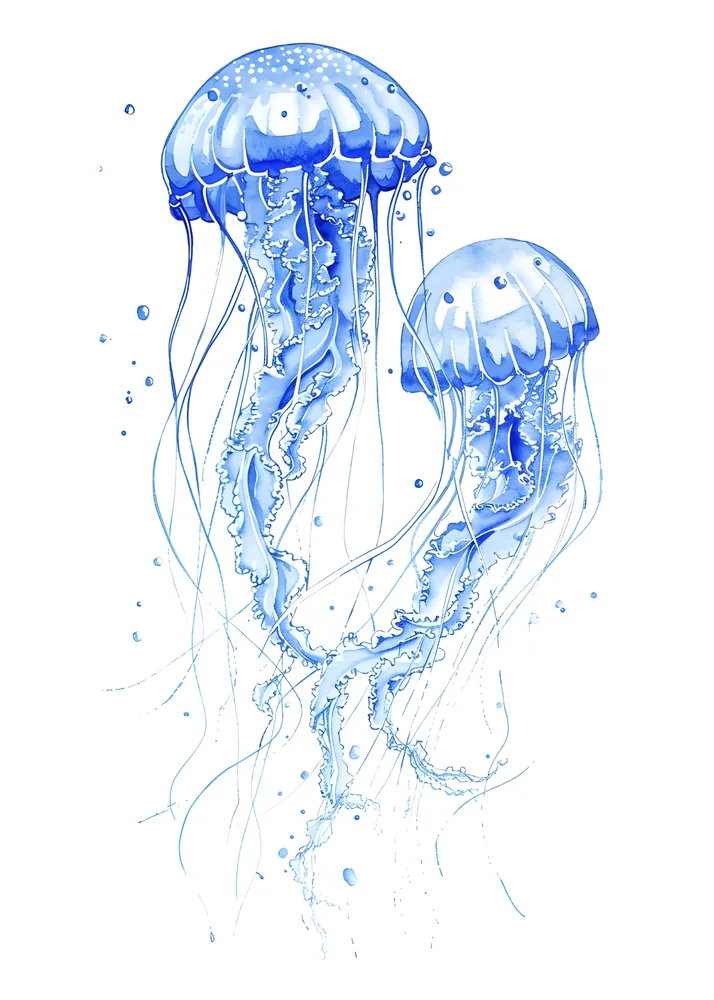 Medusas
