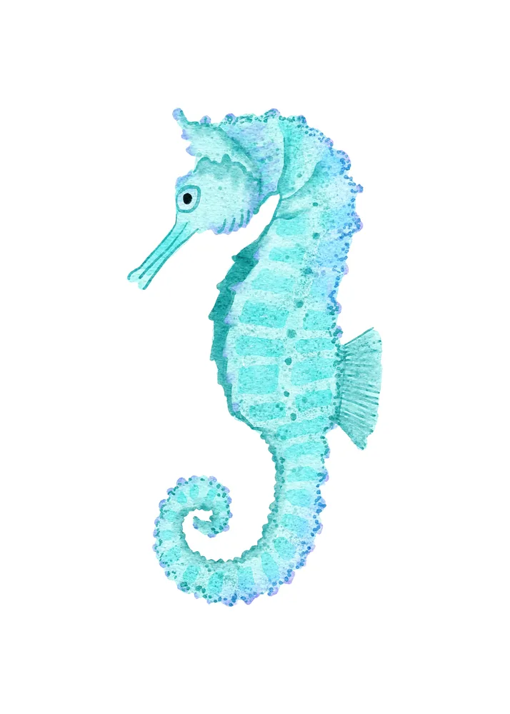 Caballito