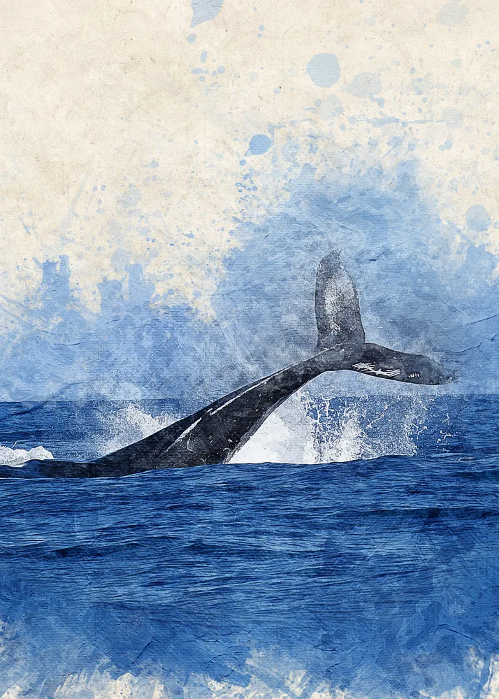 Ballena