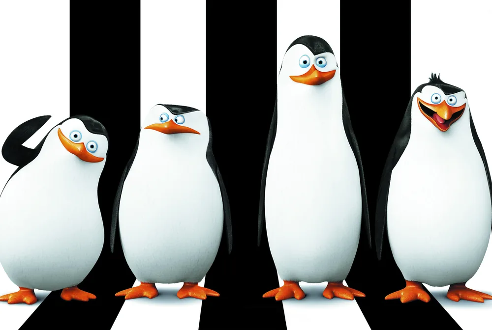 Pingüinos