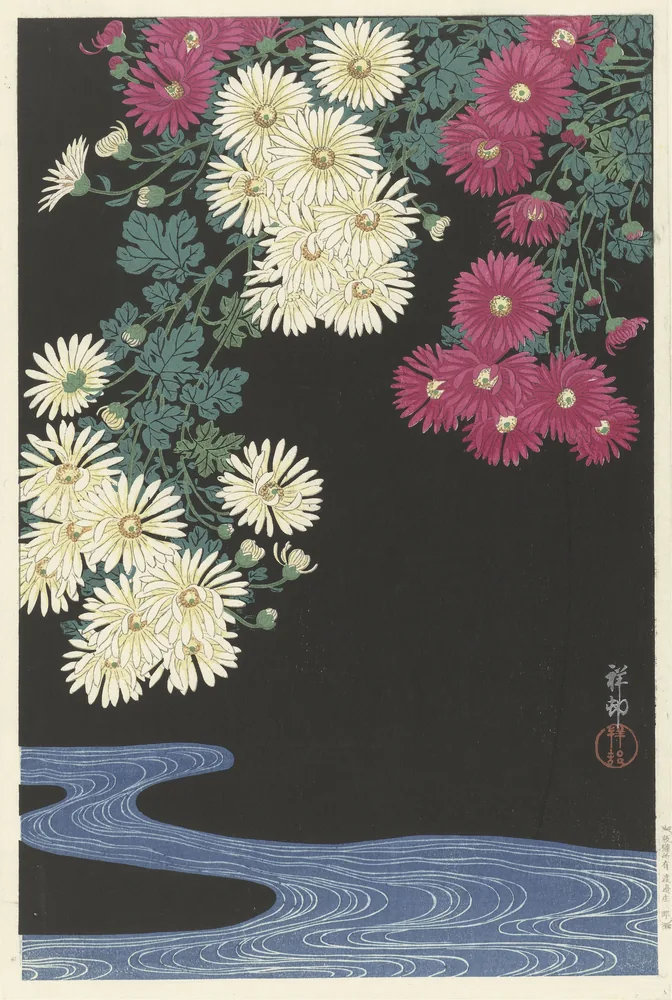 Kiku