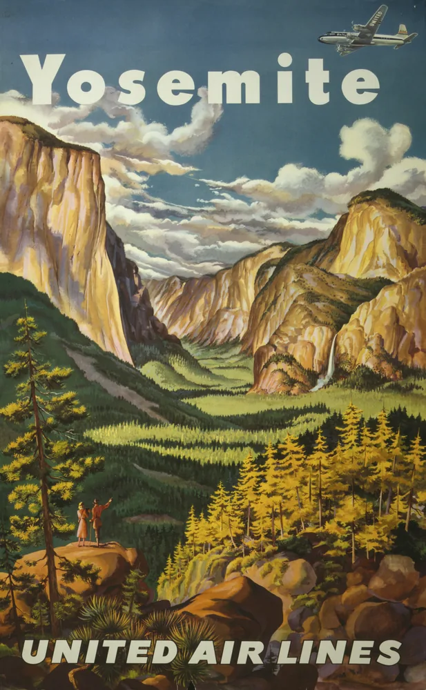 Coniferas