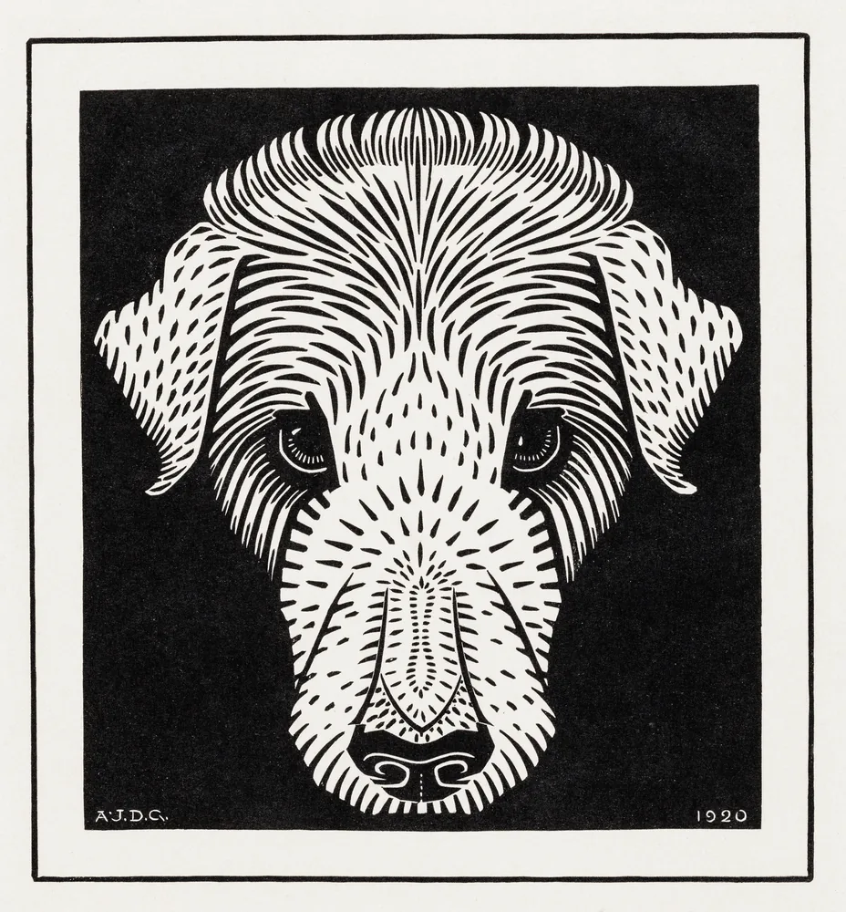 Podenco